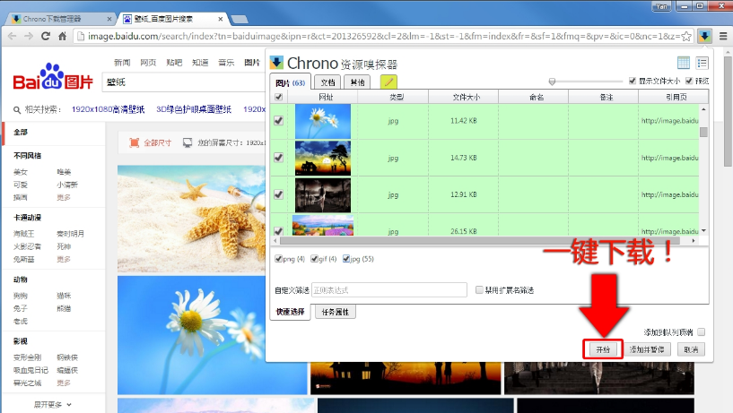 Chrono Download Manager