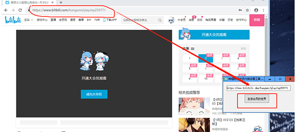 哔哩哔哩会员番剧解锁工具